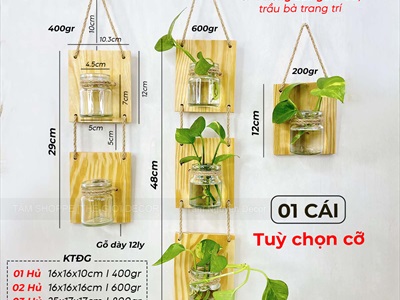Tấm gỗ lọ thủy tinh treo tường thủy canh nhiều tầng [2 màu - 3 Size] BINHLOHOA-06